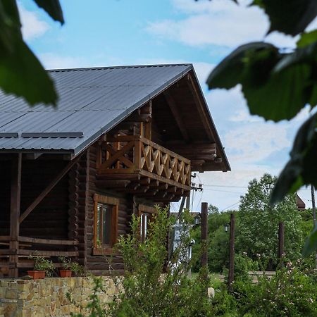 сottage Ksenija котедж Ксенія Сколе Дубина Екстер'єр фото